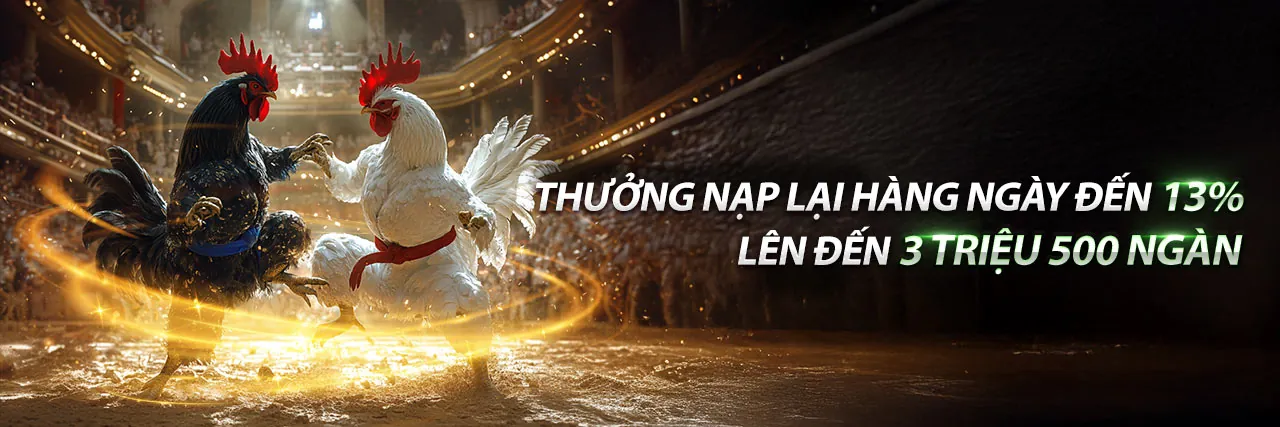 Tin tức và cập nhật mới nhất từ okvipas