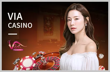 Tổng quan chương trình đối tác okvipas